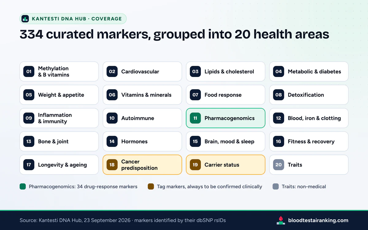 Grid of 20 numbered health areas from methylation to traits, pharmacogenomics in green and two tag-marker areas in amber
